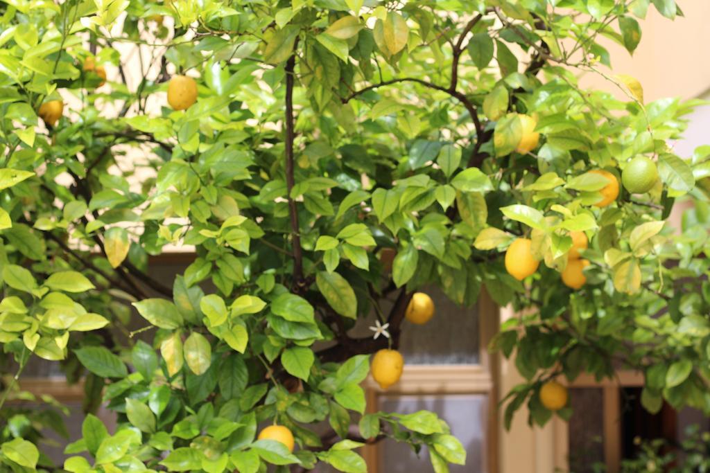 Fiori E Limoni Bed & Breakfast Quartucciu Exterior foto